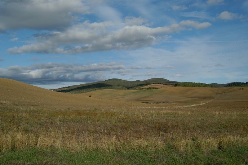 BIBBONA CAMPAGNA